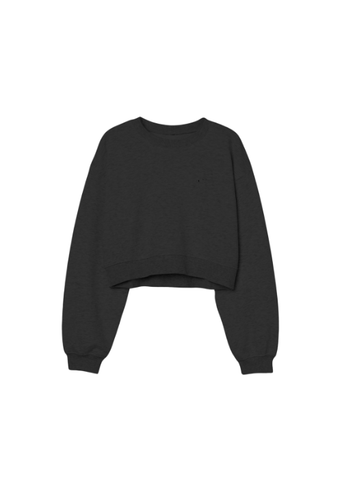 Cropped Crewneck Merch Pier